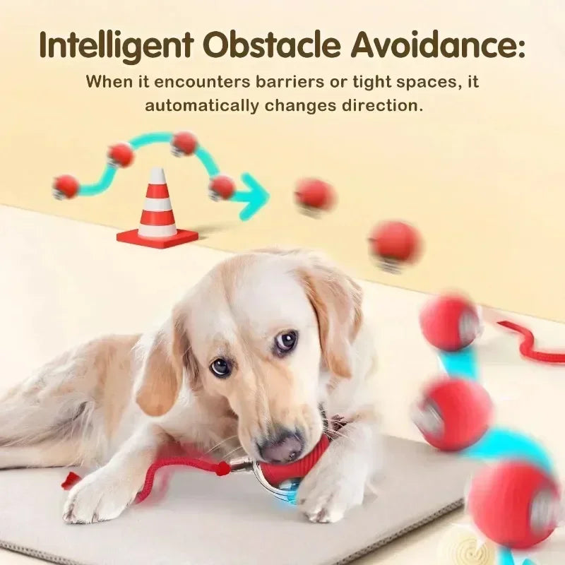 Cat interactive ball toy, automatic rolling ball with tail, rechargeable, pet smart interactive toy.