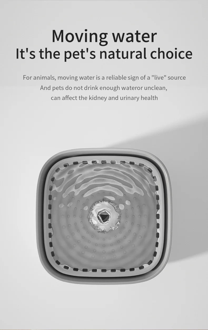 3L cat water fountain, auto recirculate through filter, large capacity, USB electric electric connection, silent pump.