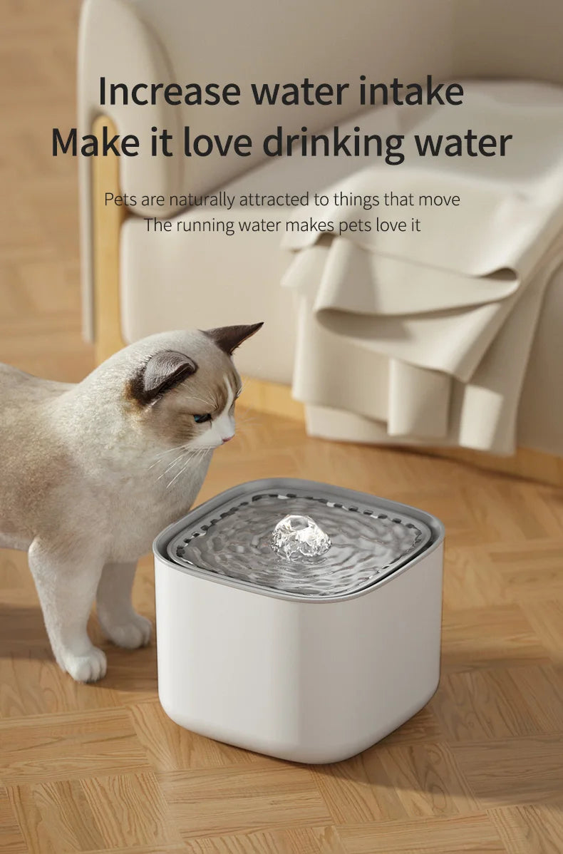 3L cat water fountain, auto recirculate through filter, large capacity, USB electric electric connection, silent pump.