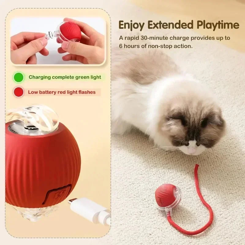 Cat interactive ball toy, automatic rolling ball with tail, rechargeable, pet smart interactive toy.