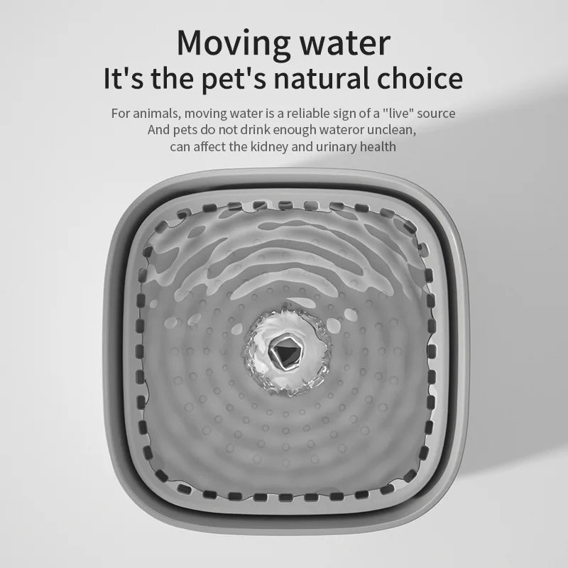 3L cat water fountain, auto recirculate through filter, large capacity, USB electric electric connection, silent pump.