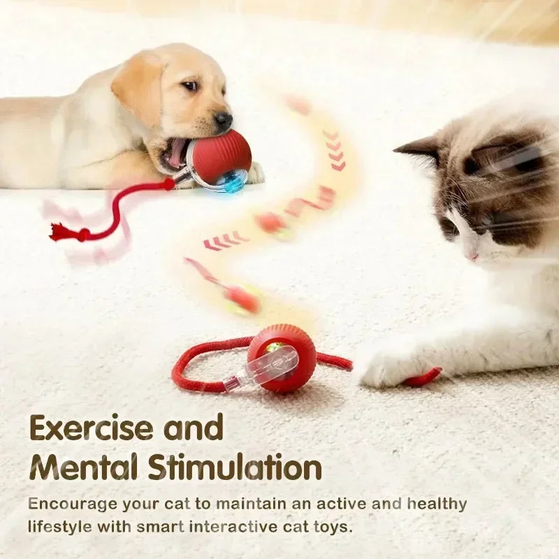 Cat interactive ball toy, automatic rolling ball with tail, rechargeable, pet smart interactive toy.